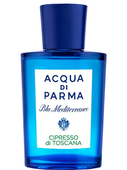 Cipresso di Toscana