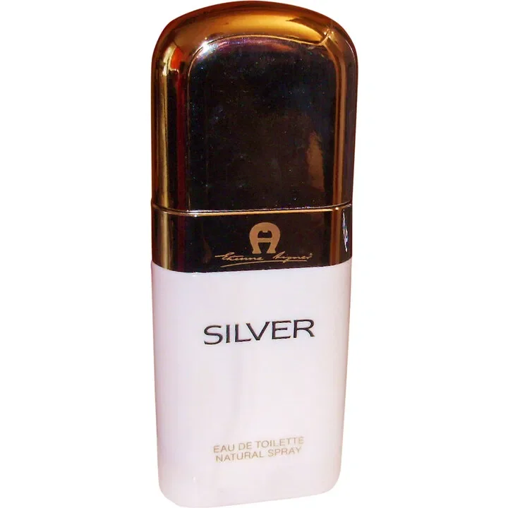 Silver Aigner 1984 Eau de Toilette