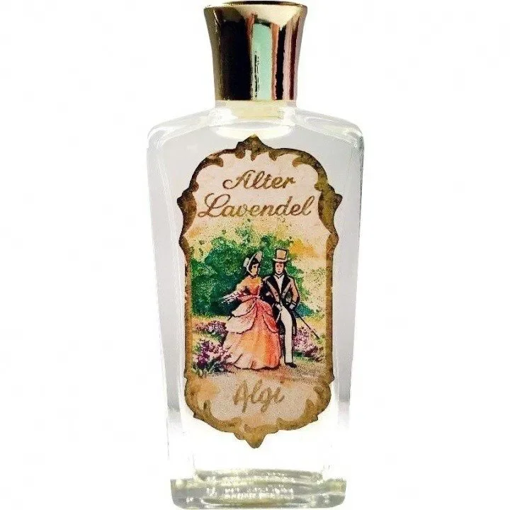 Alter Lavendel Alt Englisch Lavendel
