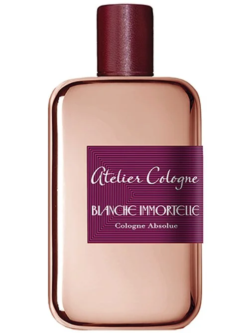 Blanche Immortelle