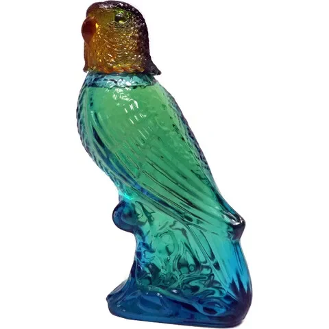 Island Parakeet - Moonwind