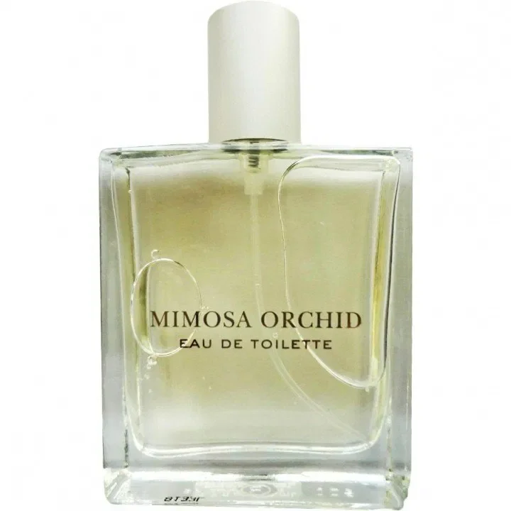 Mimosa Orchid