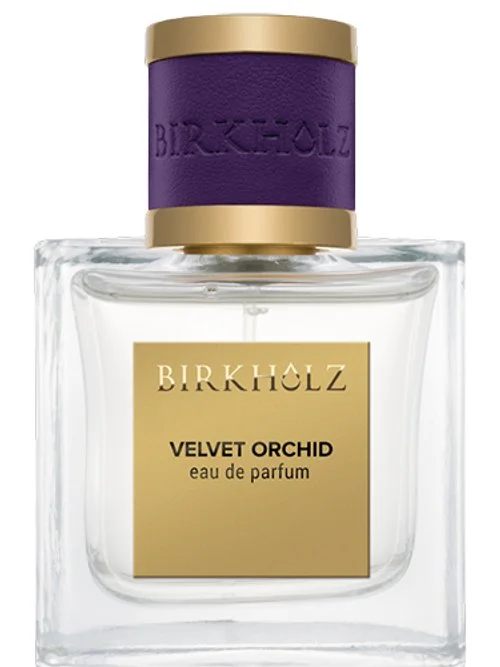 Velvet Orchid