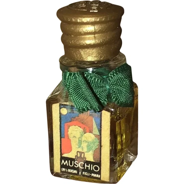 Muschio