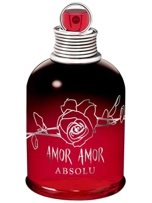 Amor Amor Absolu