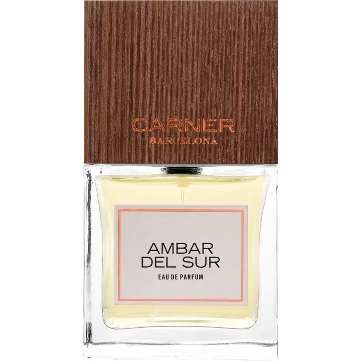 Ambar del Sur