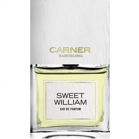 Sweet William