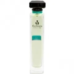 Acqua di Carthusia - Aloe Vera