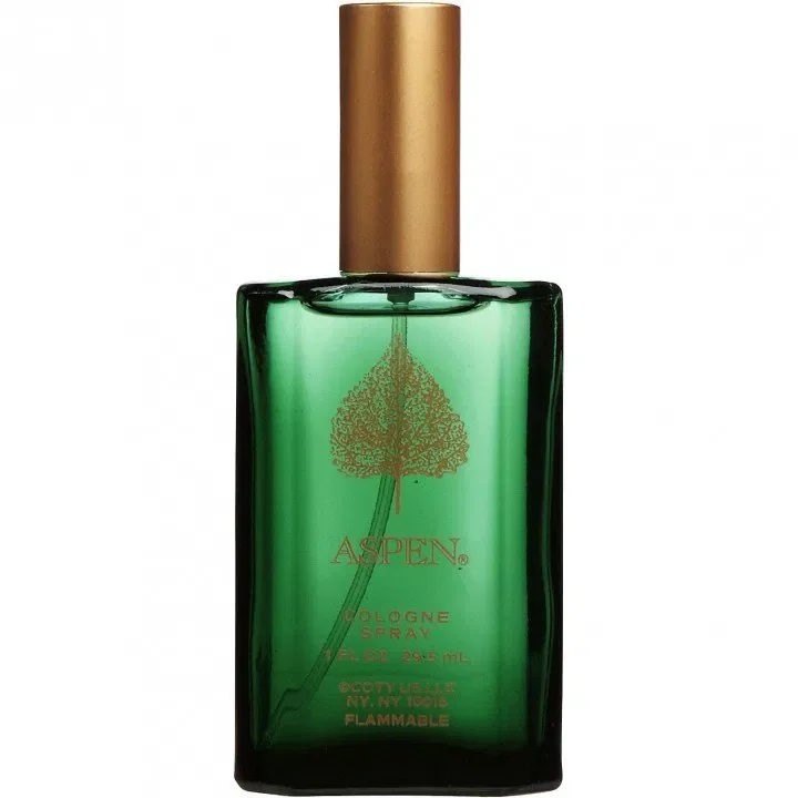 Aspen for Men Coty 1989 Cologne