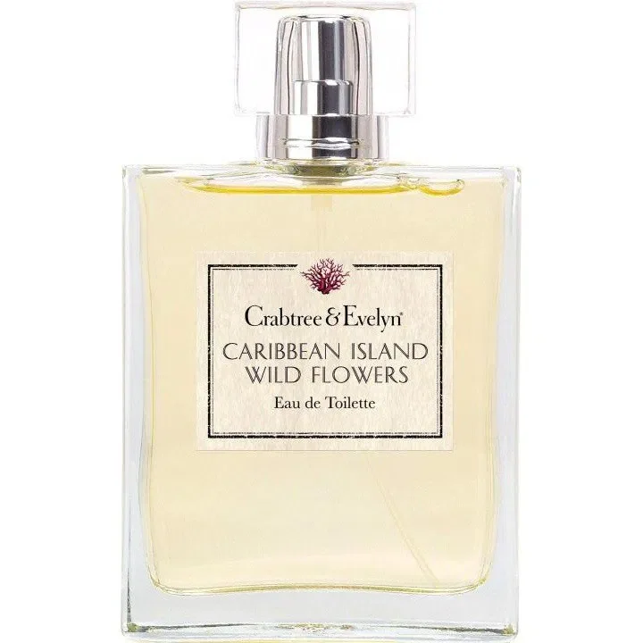Caribbean Island Wild Flowers India Hicks Island Living - Spider Lily