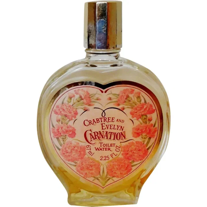 Carnation Oeillet