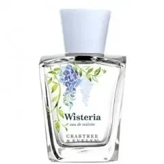 Wisteria