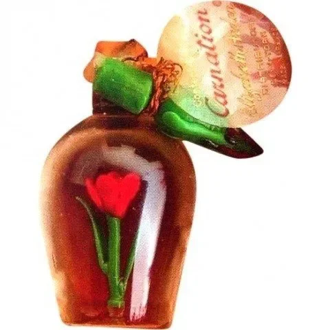 Carnation