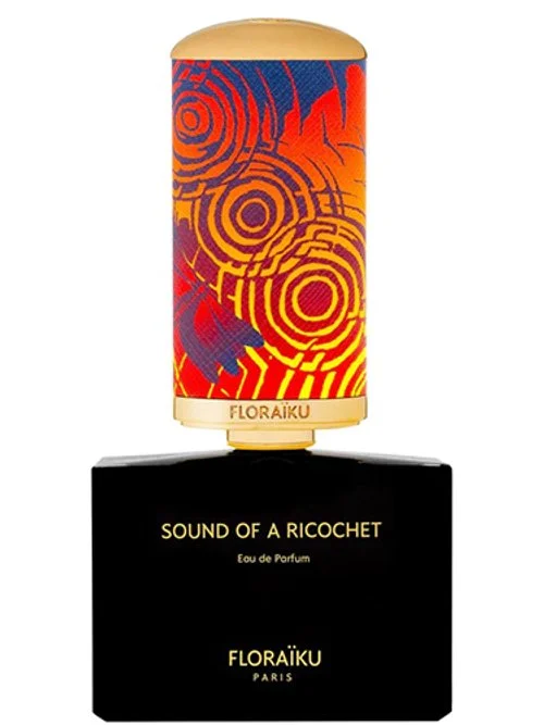 Sound of a Ricochet