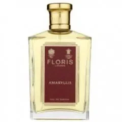 Amaryllis