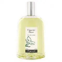 Figuier Fleur Eau des Garrigues
