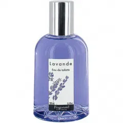Lavande