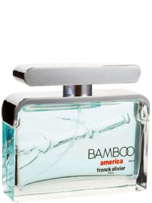 Bamboo America