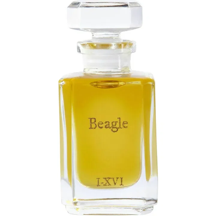 Beagle Fueguia 1833 2010 Pura Esencia