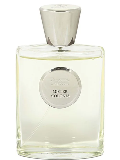 Mister Colonia