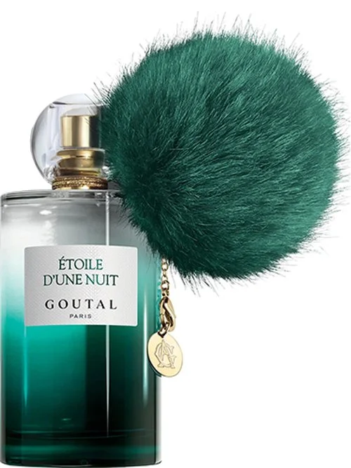 Étoile d'une Nuit