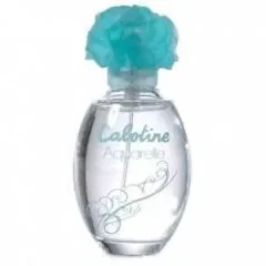 Cabotine Aquarelle