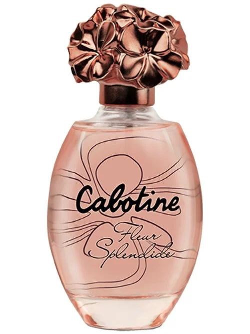 Cabotine Fleur Splendide