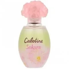 Cabotine Sakura