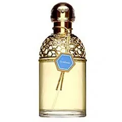 Aqua Allegoria Gentiana