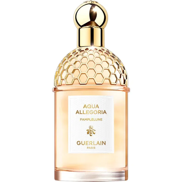 Aqua Allegoria Pamplelune
