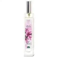 Fiori Radici Frutti - Malva
