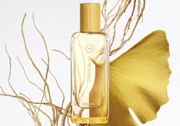 Ginseng Biloba