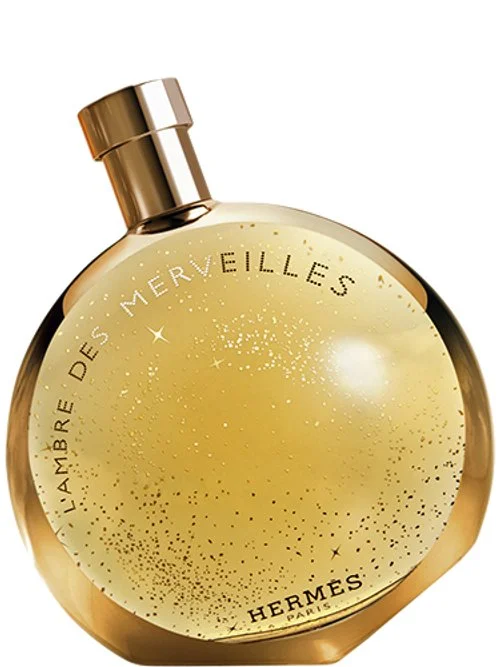 L'Ambre des Merveilles
