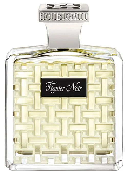 Figuier Noir