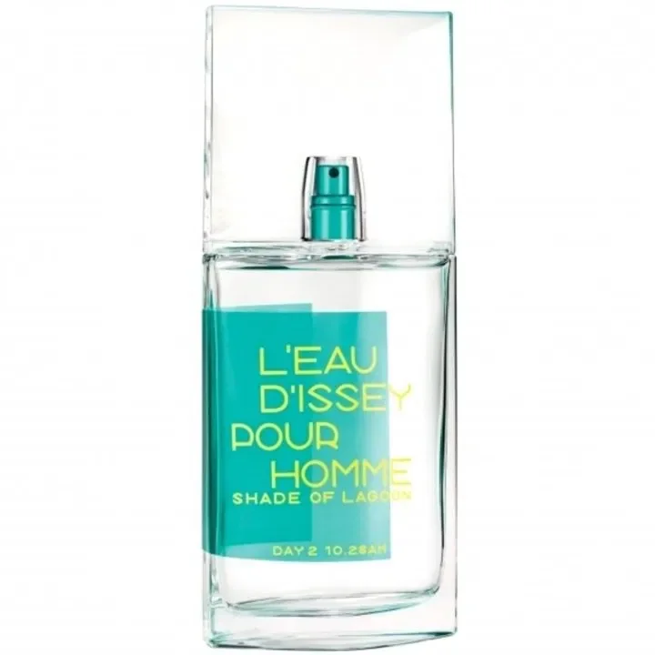 Issey Miyake L'Eau d'Issey Pour Homme fragrance bottle