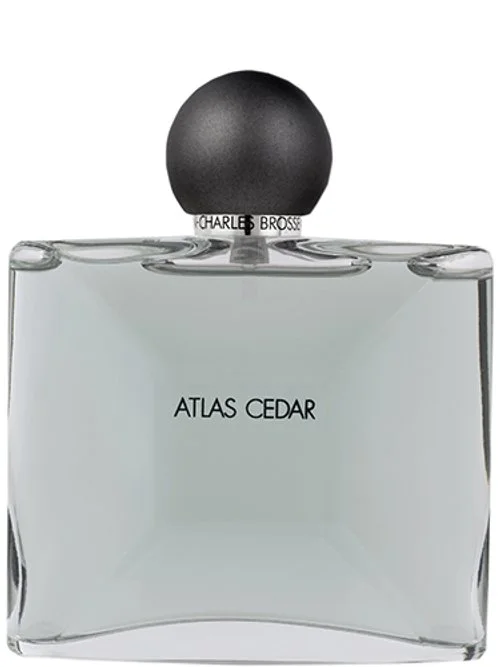 Atlas Cedar