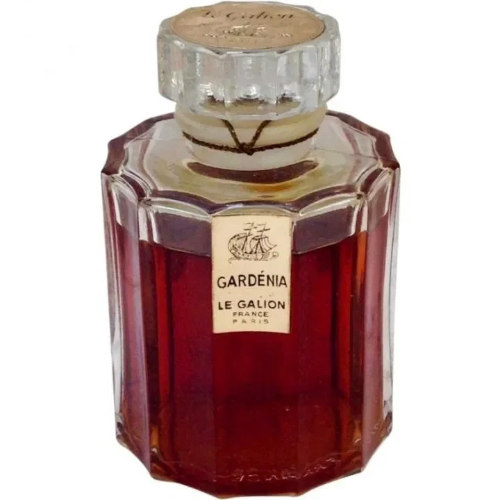 Gardénia