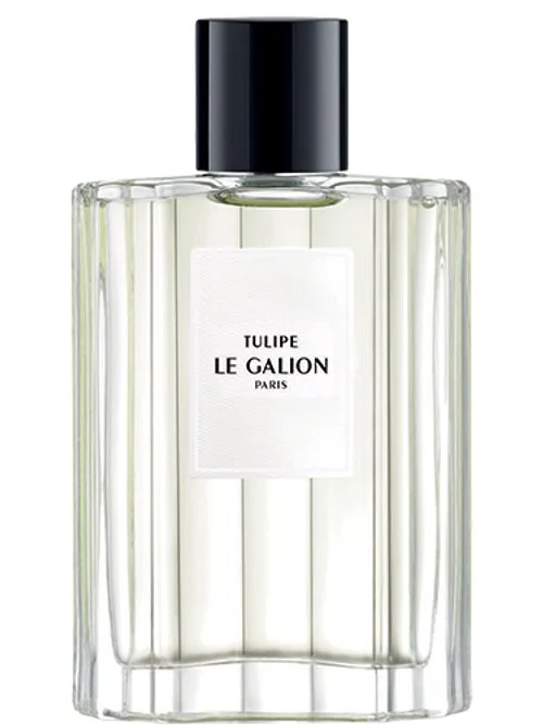 Tulipe
