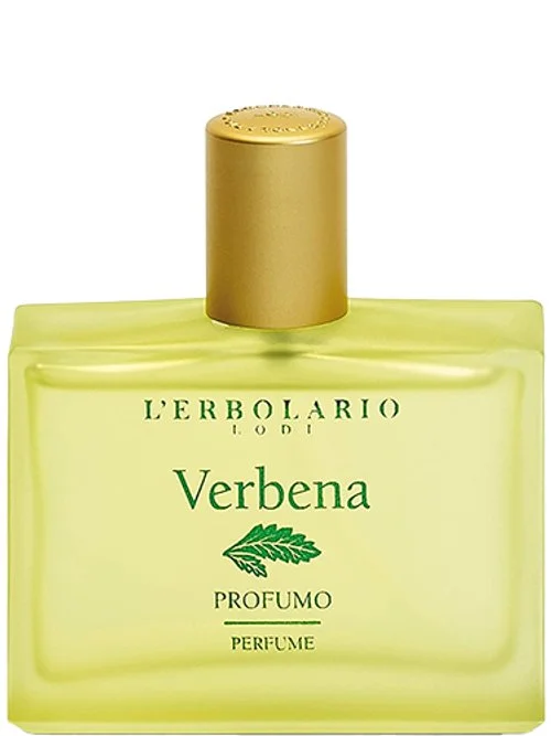 Verbena