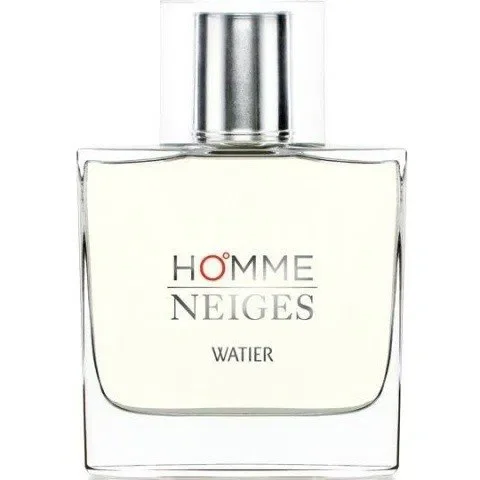 Homme Neiges Neiges pour Homme Lise Watier 1997 Eau de Toilette