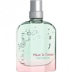 Fleurs de Cerisier Eau Fraîche