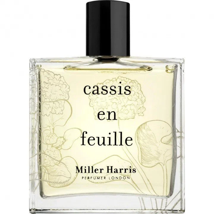 Cassis en Feuille