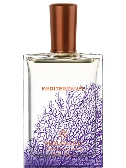 Méditerranée