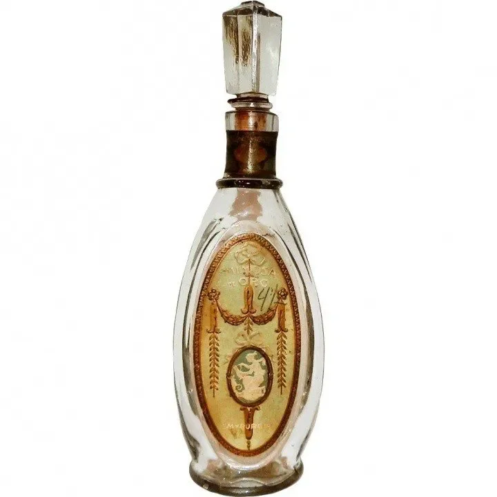 Mimosa de Oro