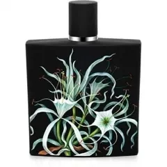Amazon Lily