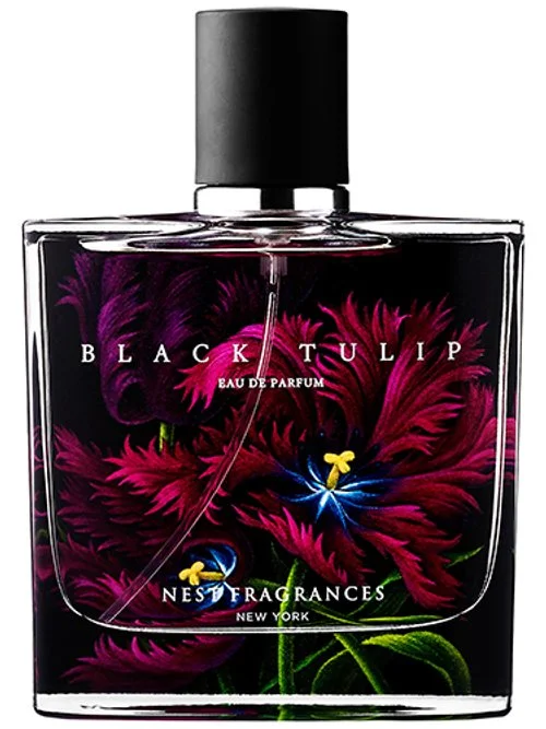 Black Tulip