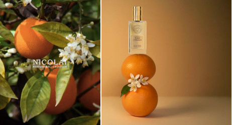 Fleur D’Oranger