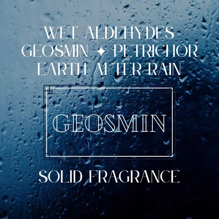 Geosmin Osmofolia 2022 Solid Perfume