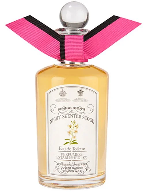 Night Scented Stock