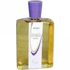 Lavanda Inglesa